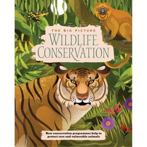 The Big Picture : Wildlife Conservation - Nature Book - by Lyn Coutts Paperback