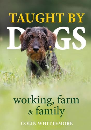 Taught By Dogs - Children's Book - by Colin Whittemore - Hardcover