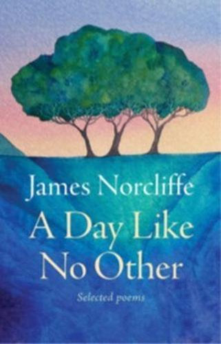 A Day Like No Other - by James Norcliffe - Hardcover