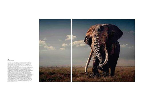 Walk the Earth - by Federico Veronesi - Hardcover