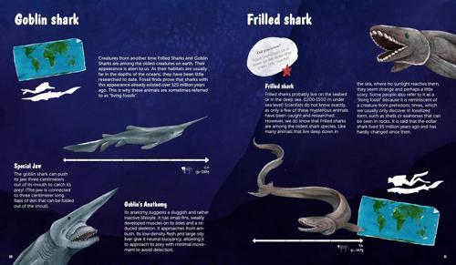 The World of Sharks - by Darcy Dobell - Hardcover