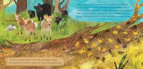 Thank You Old Oak - Children's Book - Hardcover