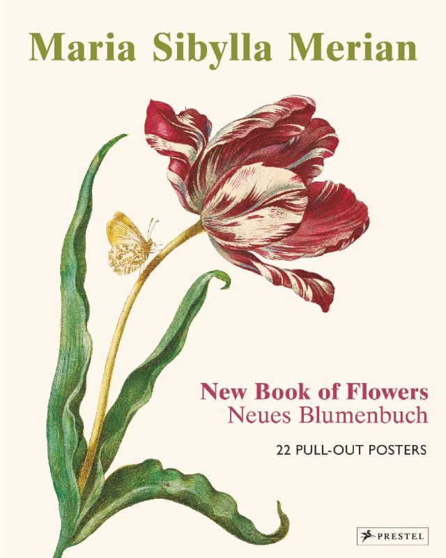 Maria Sibylla Merian: The New Book of Flowers (Pull Out Posters)