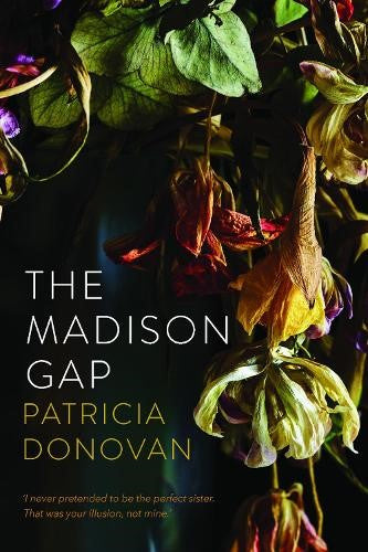 The Madison Gap (Paperback)