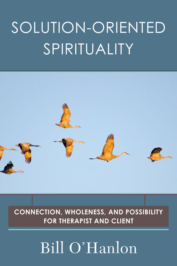 Solution-Oriented Spirituality Connection, Wholeness, And Possibility For Therap