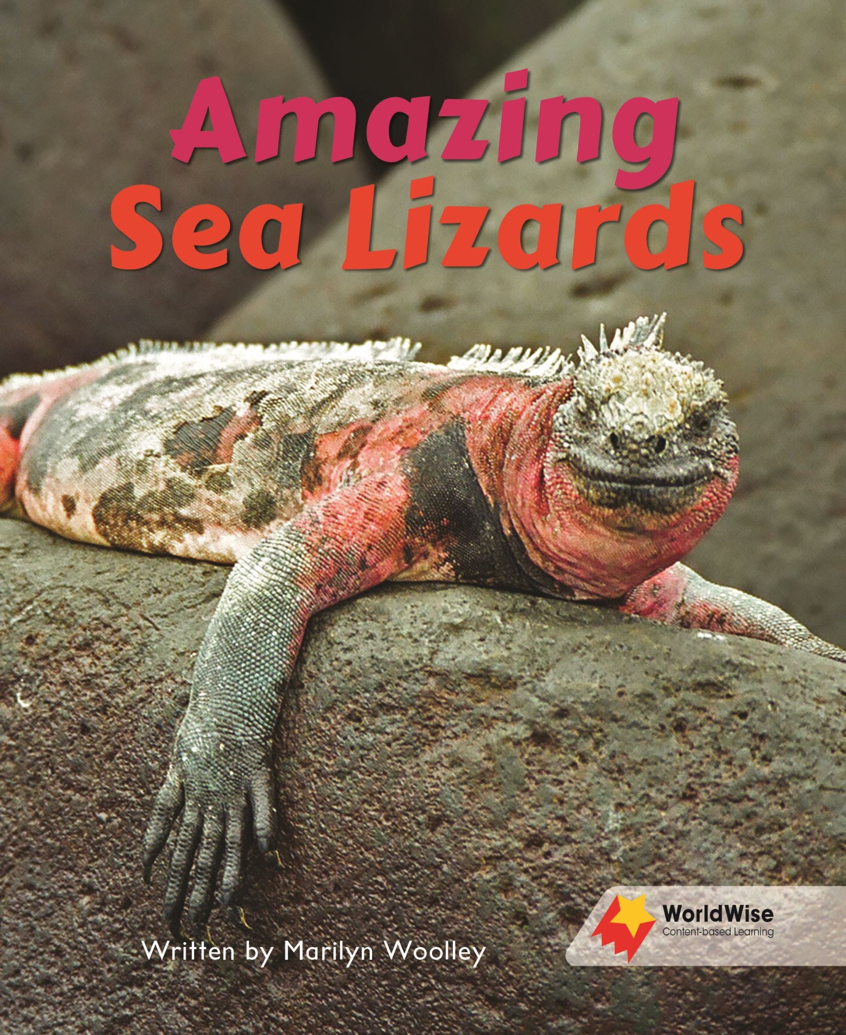 Amazing Sea Lizards
