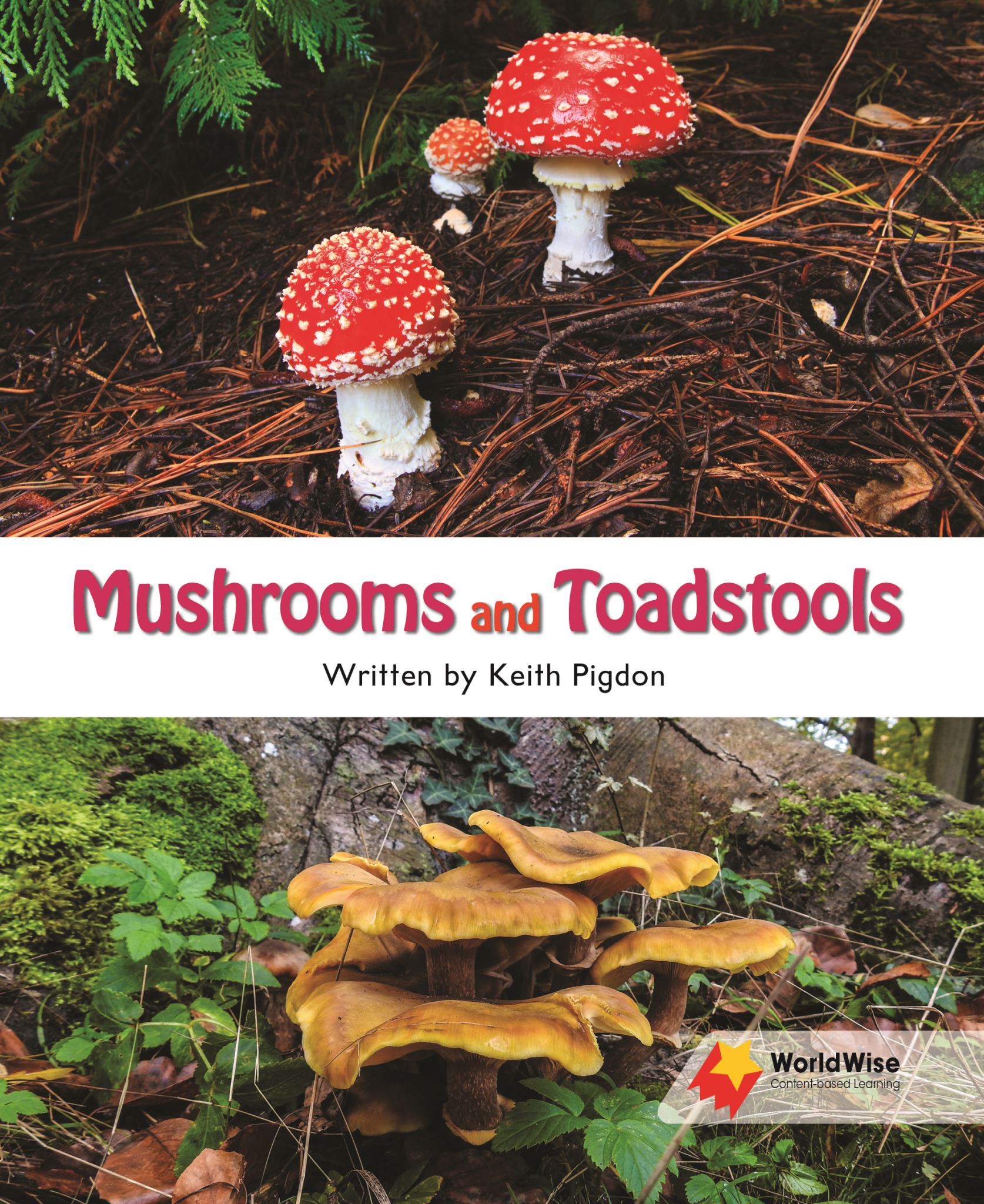 Mushrooms and Toadstools