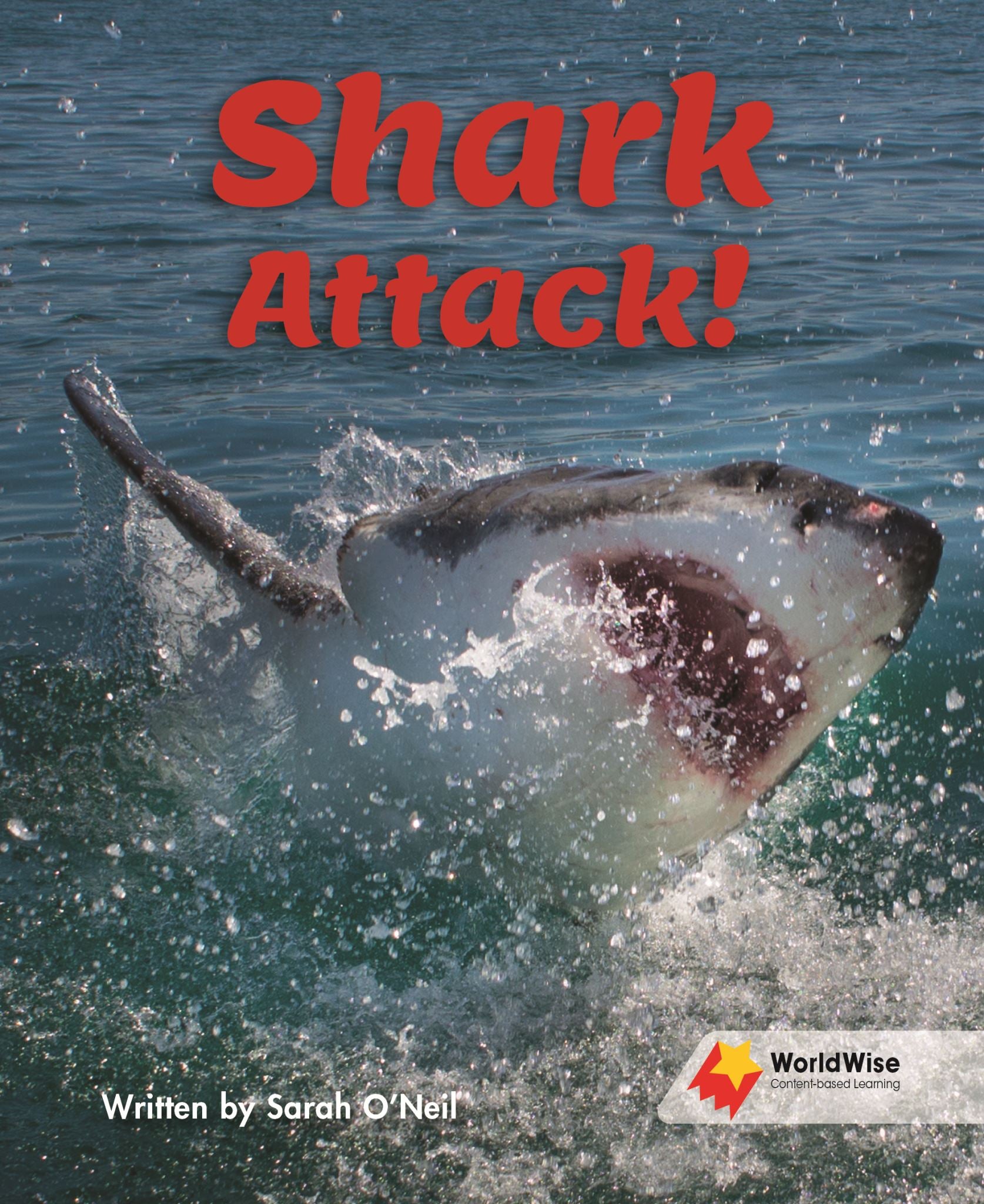 Shark Attack!