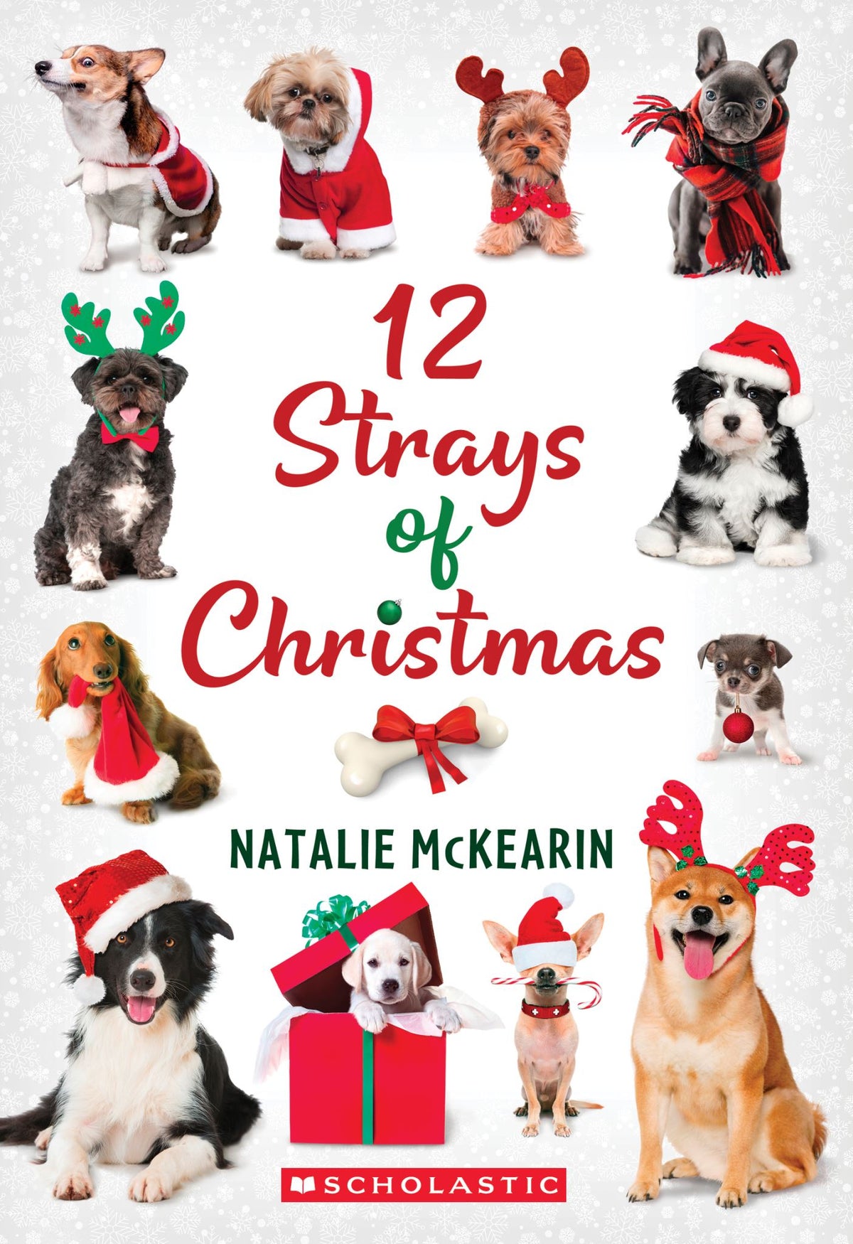 12 Strays of Christmas