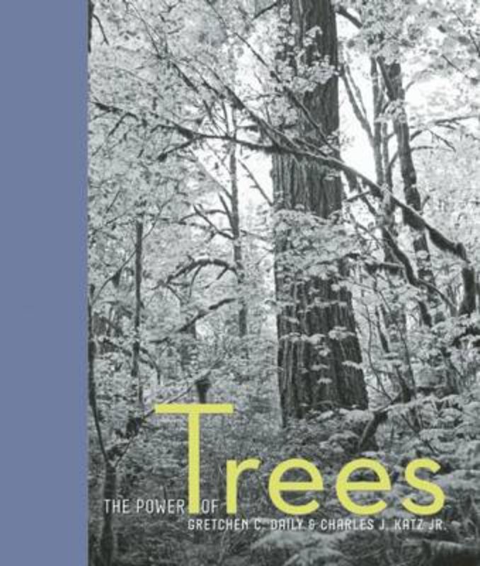 The Power of Trees