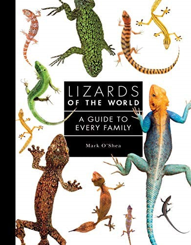 Lizards of the World: A Guide to Every Family