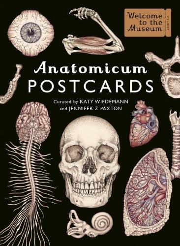 Anatomicum Postcard Box (Cards)