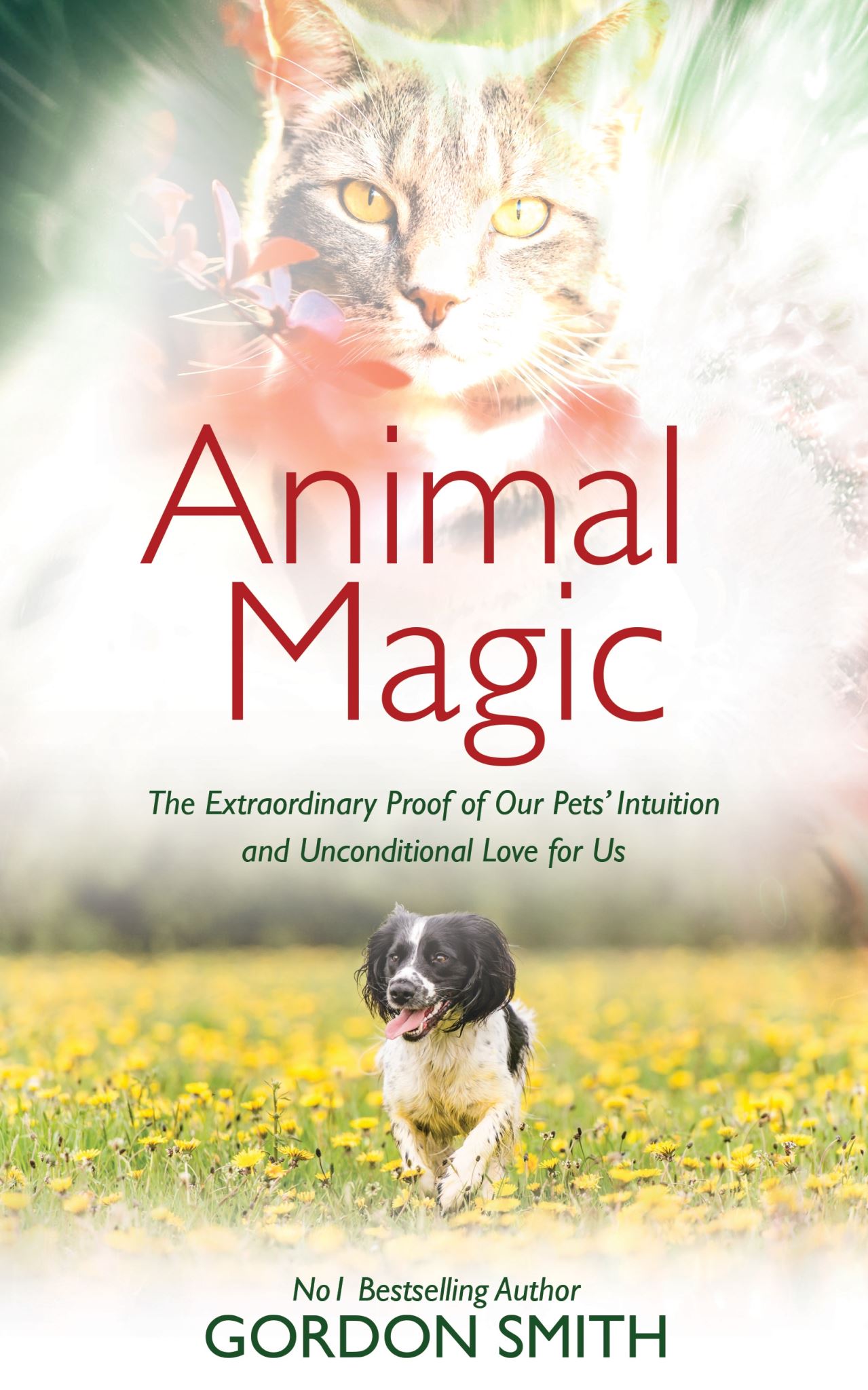 Animal Magic