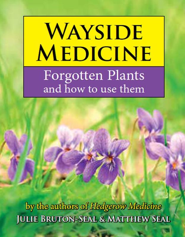 Wayside Medicine