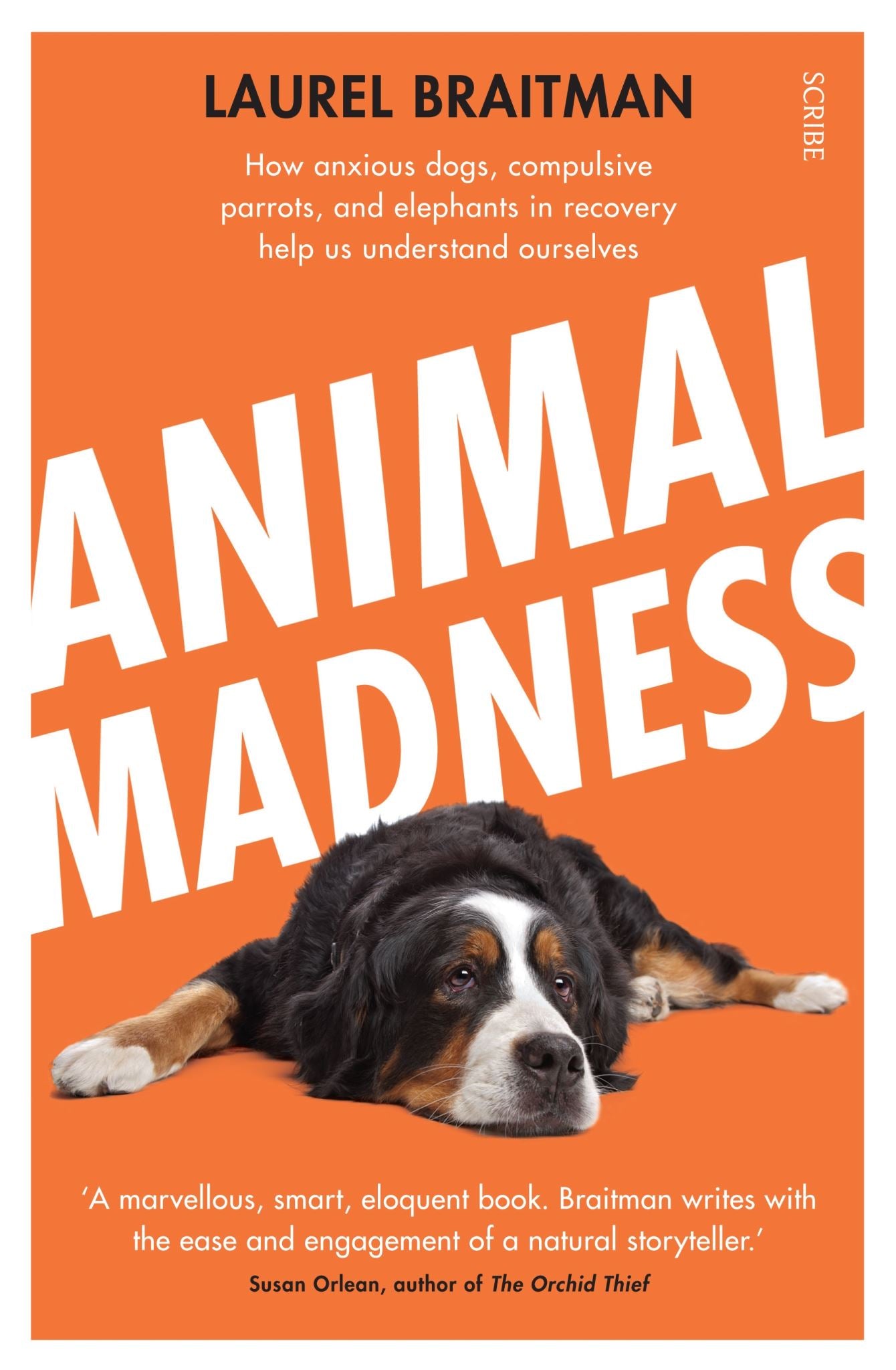 Animal Madness: How Anxious Dogs, Compulsive Parrots, and Elephants in Recovery