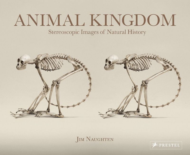 Animal Kingdom : Stereoscopic Images of Natural History