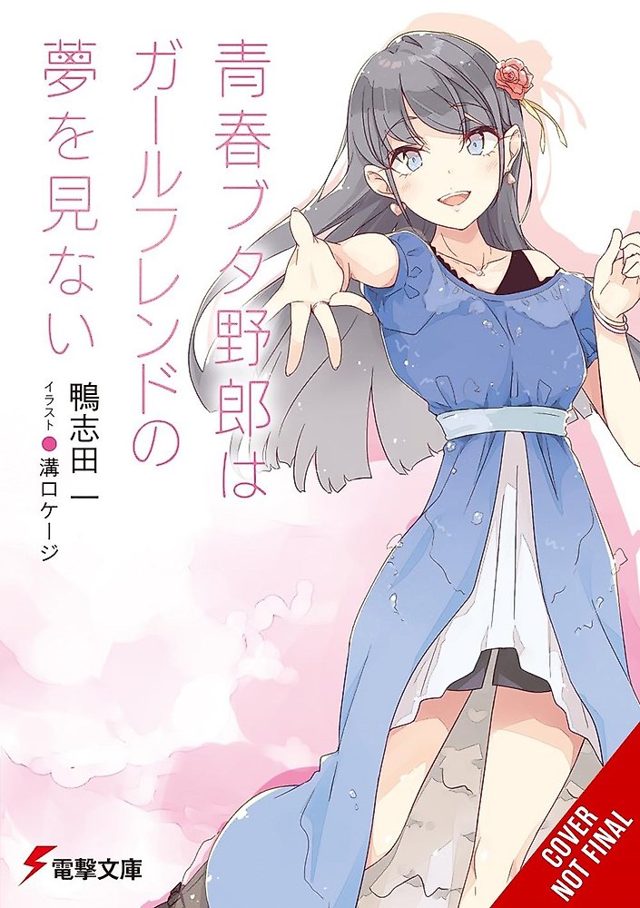 Rascal Does Not Dream of His Girlfriend (light novel)