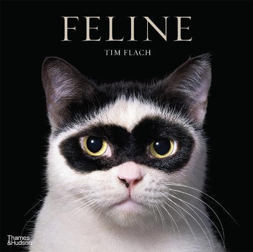 Feline Cat Photography Book With 180+ Cats