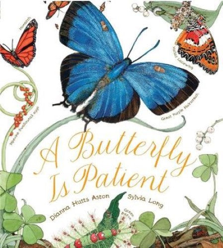 Butterfly Is Patient