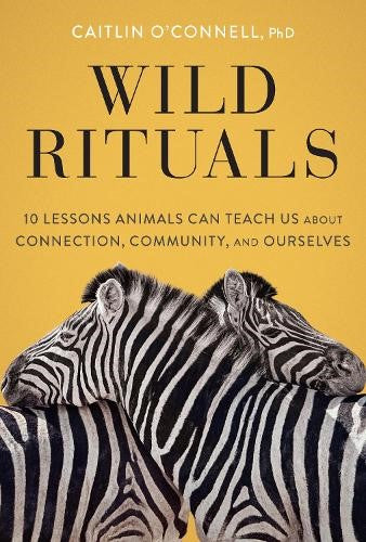 Wild Rituals: 10 Lessons Animals Can Teach Us About Connection, Community, and O