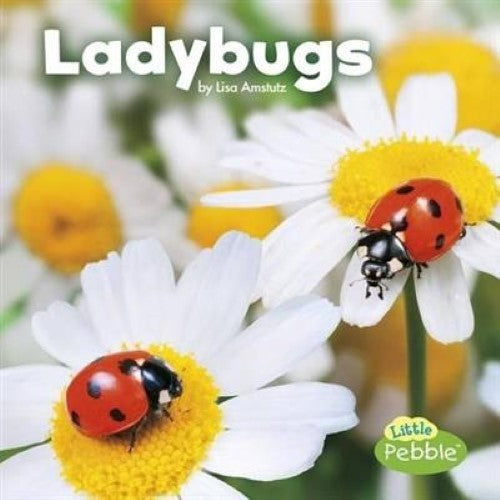 Ladybugs (Little Critters)