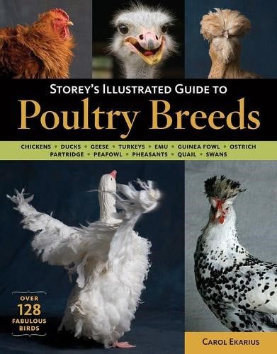 Storey's Illustrated Guide to Poultry Breeds: Chickens, Ducks, Geese, Turkeys, E