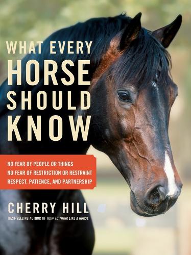 What Every Horse Should Know: A Training Guide to Developing a Confident and Saf