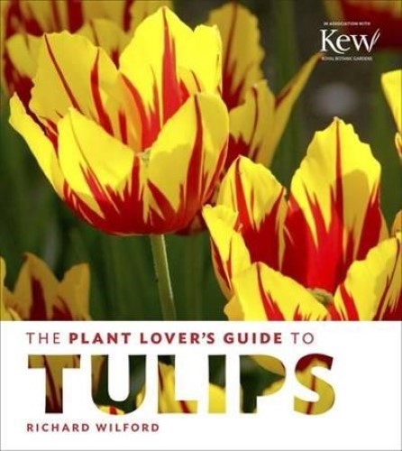 Plant Lover's Guide to Tulips