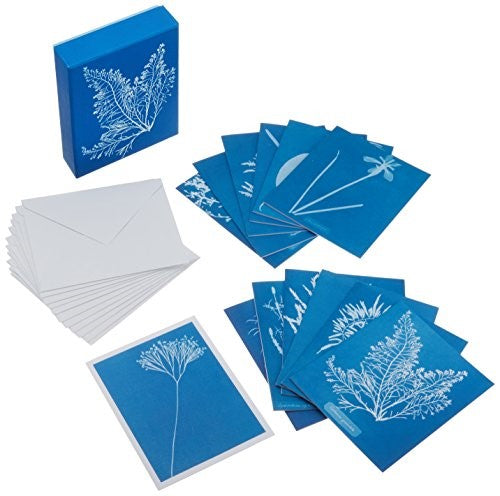 Sunprint Notecards The Cyanotypes of Anna Atkins