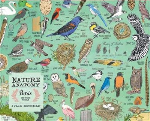 Nature Anatomy: Birds Puzzle (500 pieces)