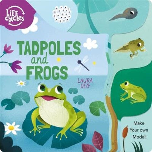 Tadpoles and Frogs: Make Your Own Model!