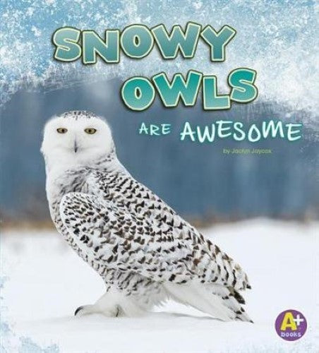 Snowy Owls are Awesome (Polar Animals)