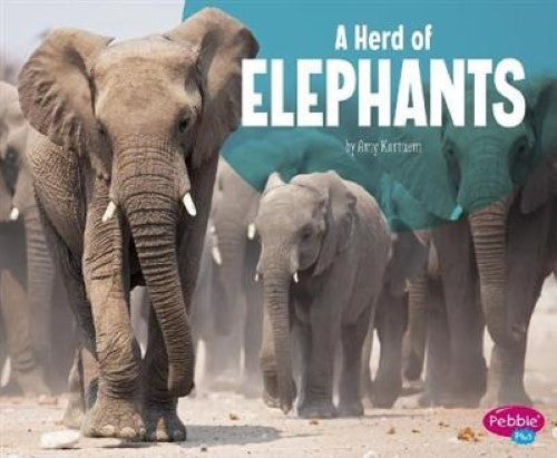 A Herd of Elephants (Animal Groups)