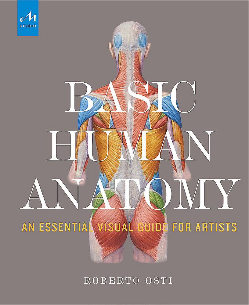 Basic Human Anatomy