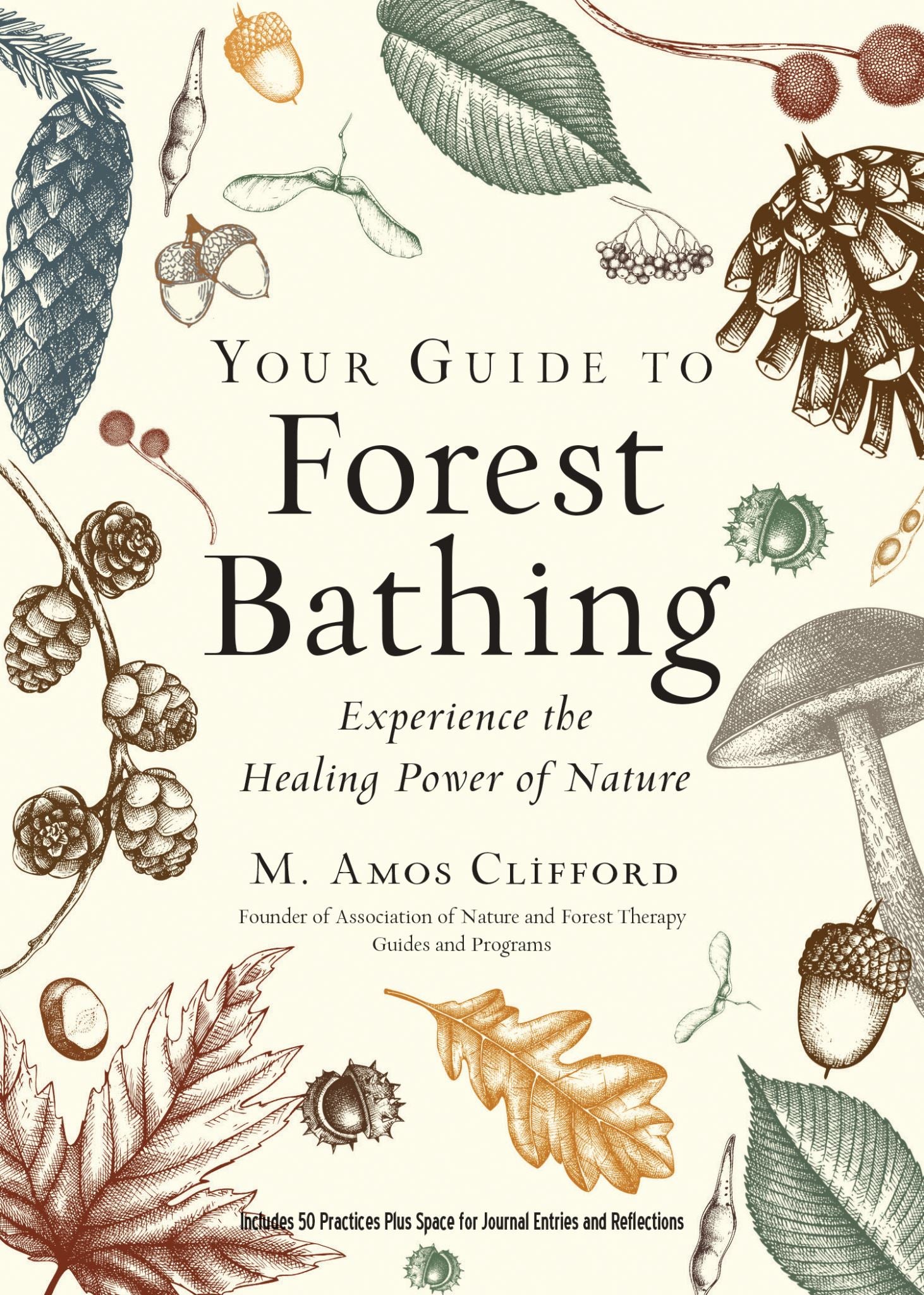 Your Guide to Forest Bathing (Expanded Edition)