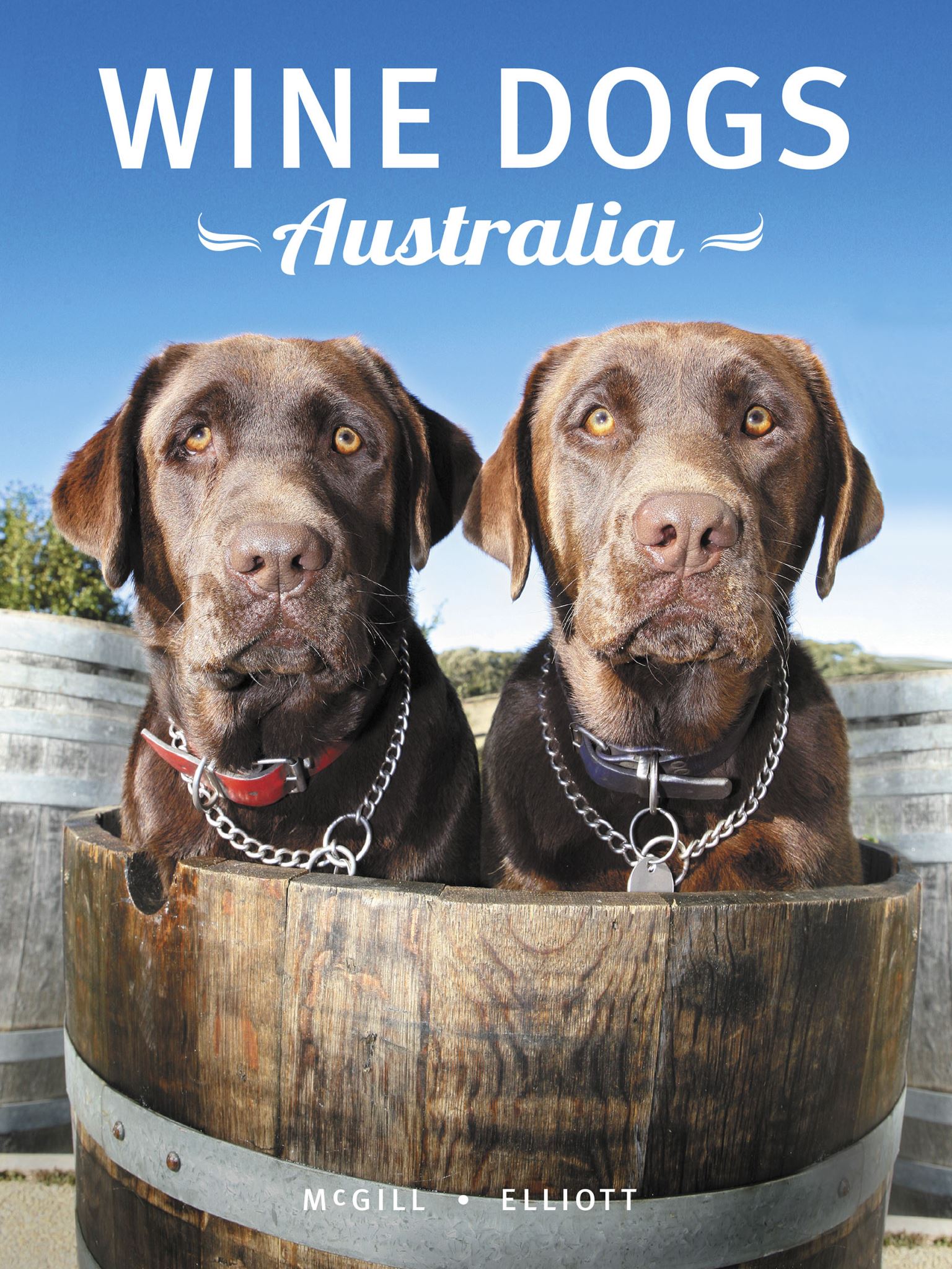 Wine Dogs Australia 4