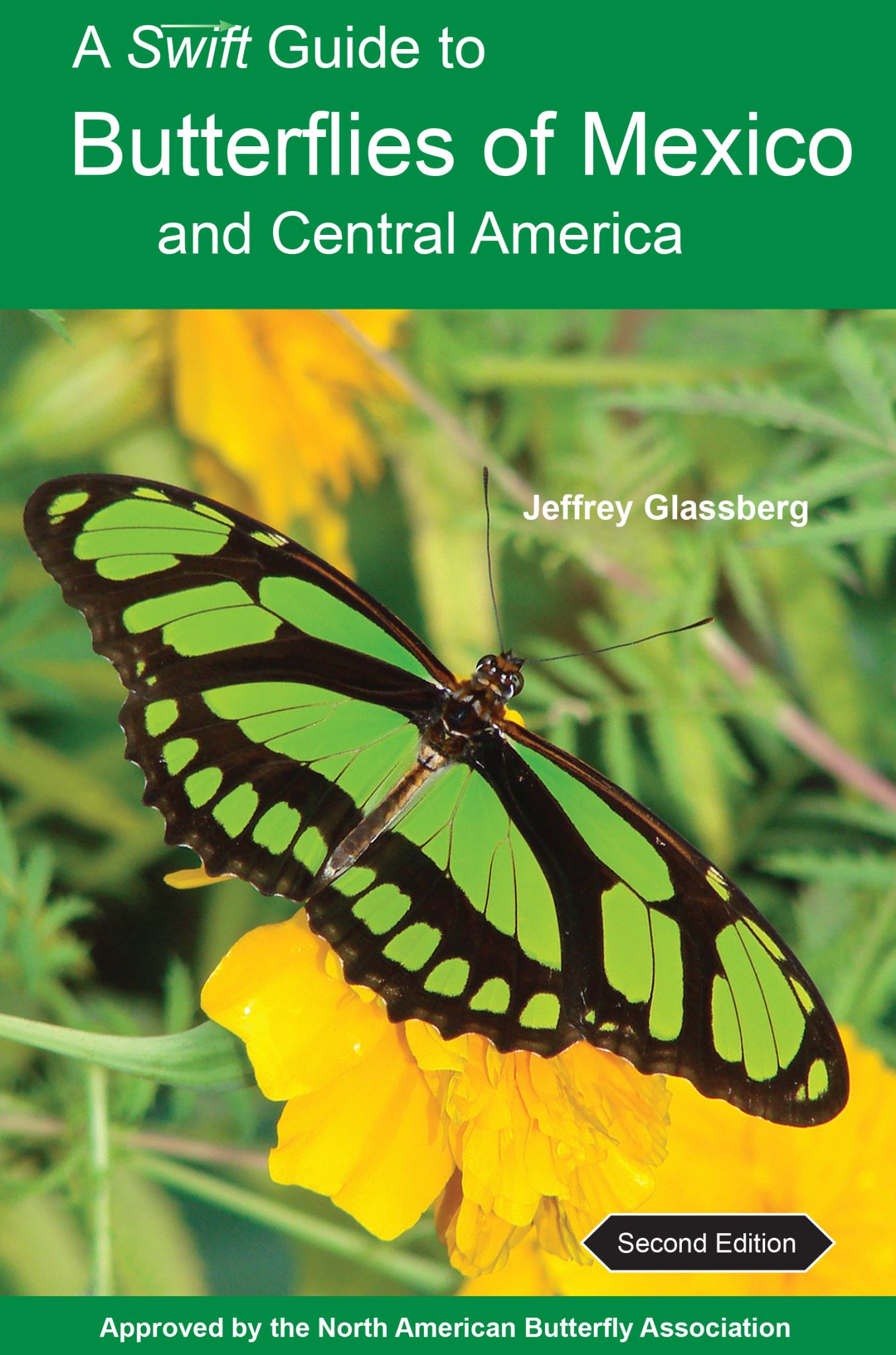 A Swift Guide to Butterflies of Mexico and Central America