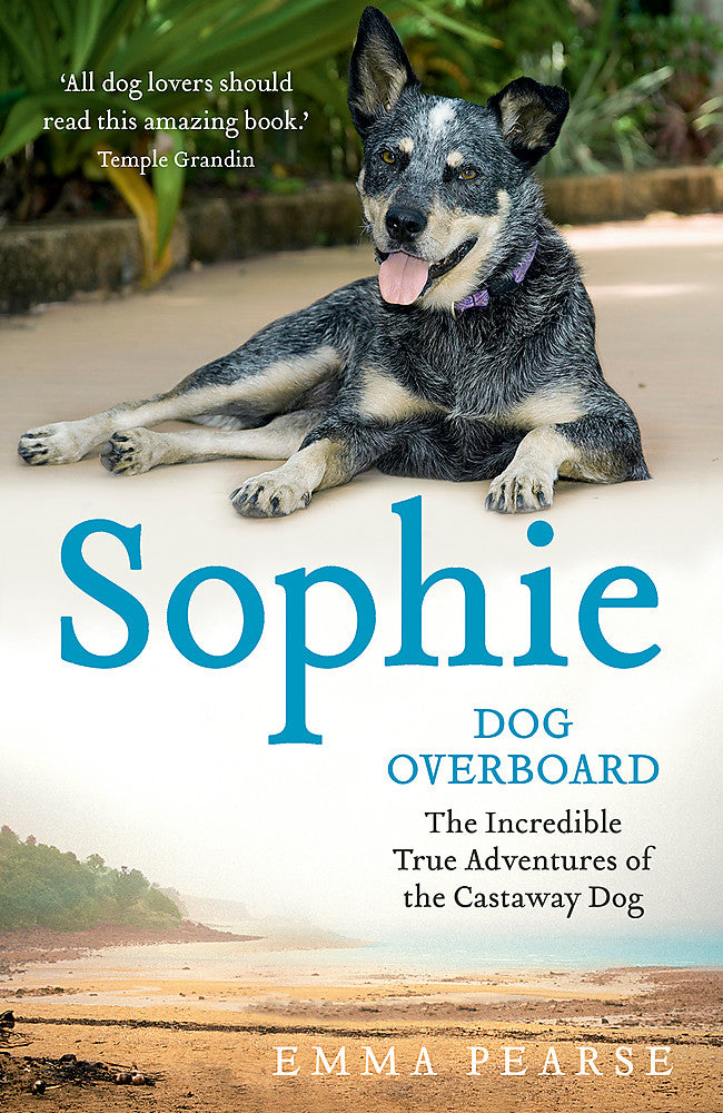 Sophie: dog overboard