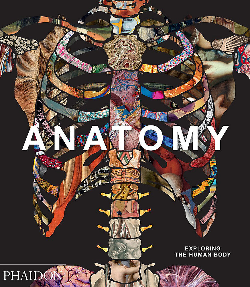 Anatomy