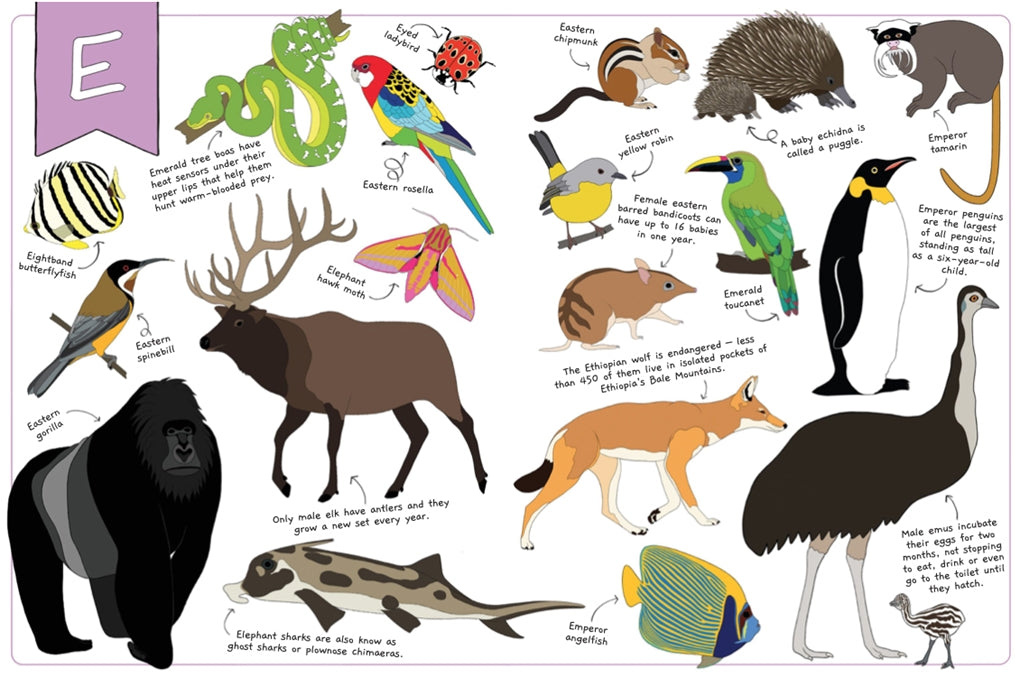 The Ultimate Animal Alphabet Book