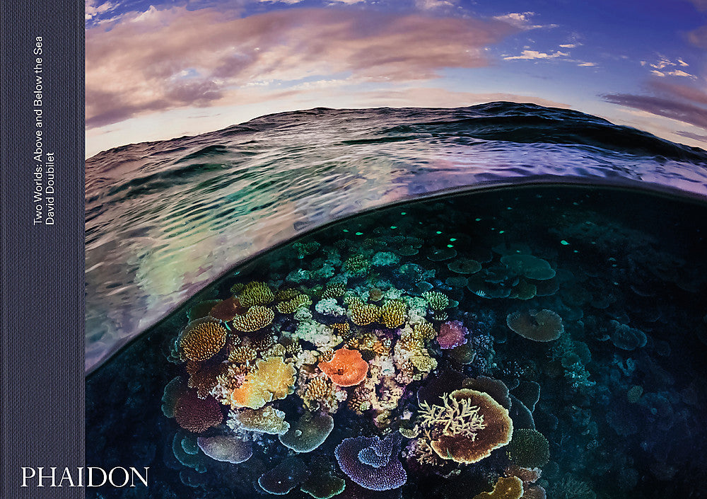 Two Worlds: Above and Below the Sea