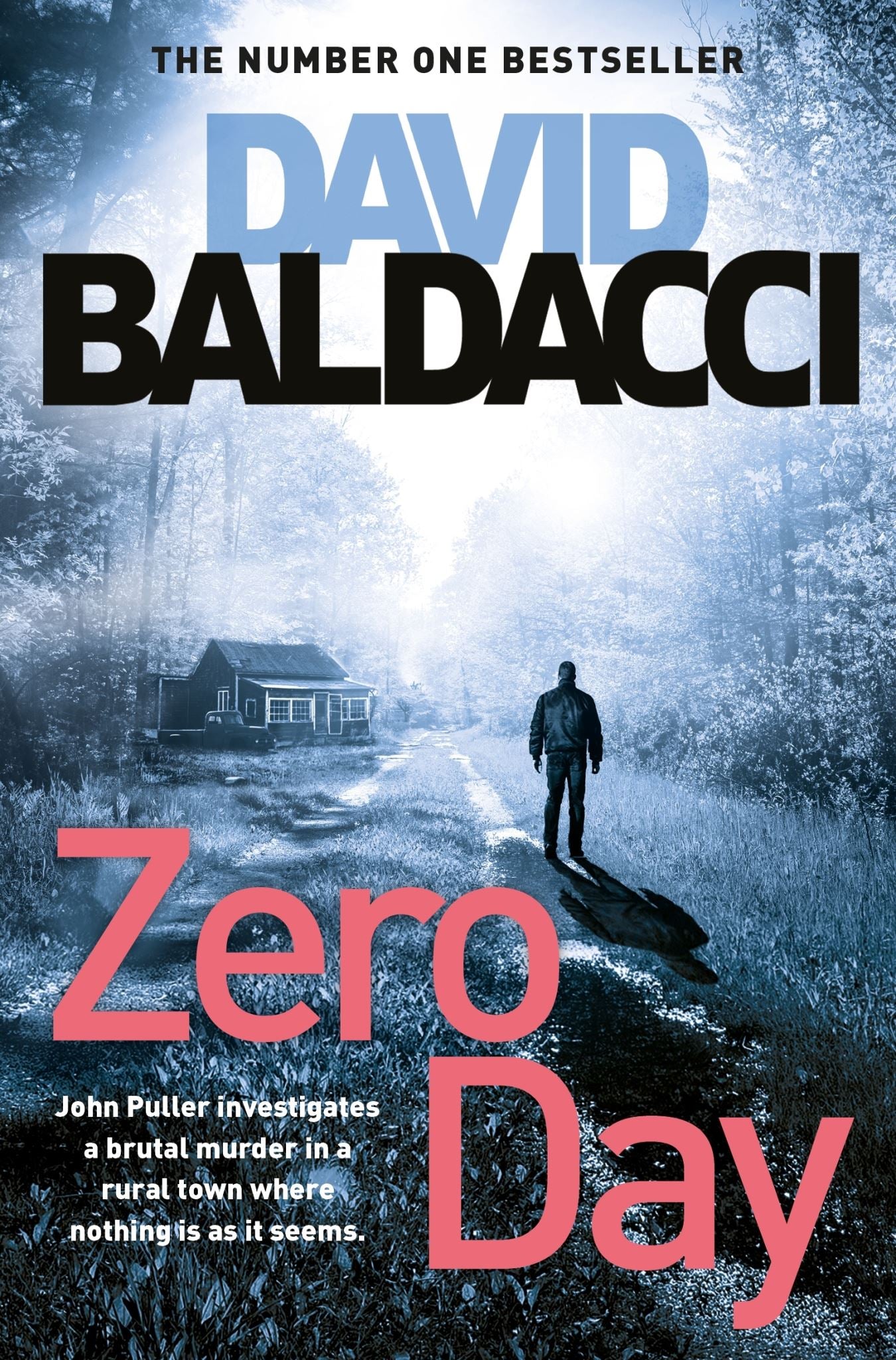 Zero Day: A John Puller Novel 1