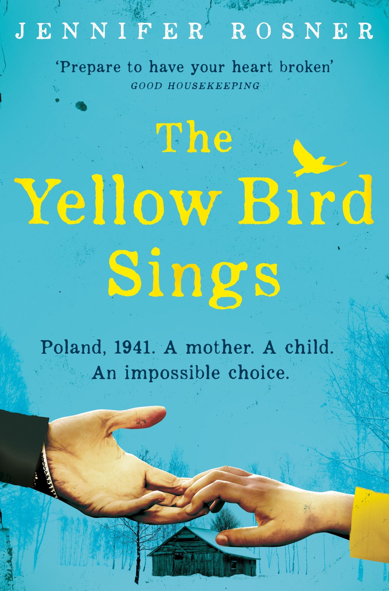 The Yellow Bird Sings