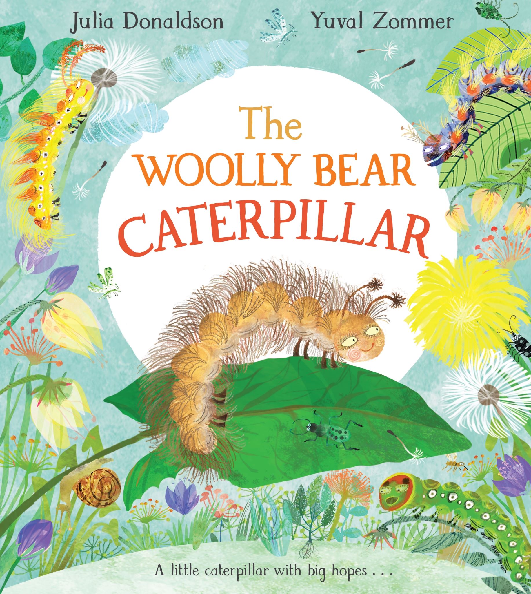 The Woolly Bear Caterpillar