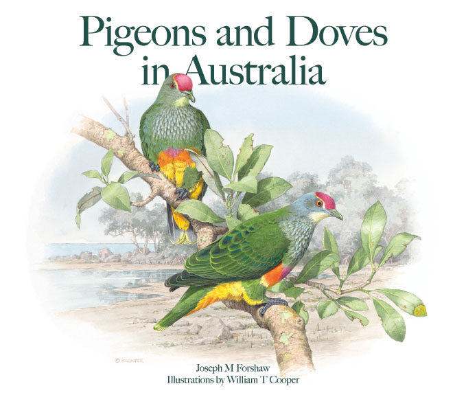 Pigeons and Doves in Australia