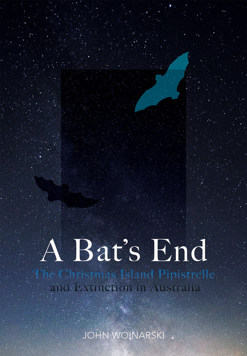 A Bat’s End