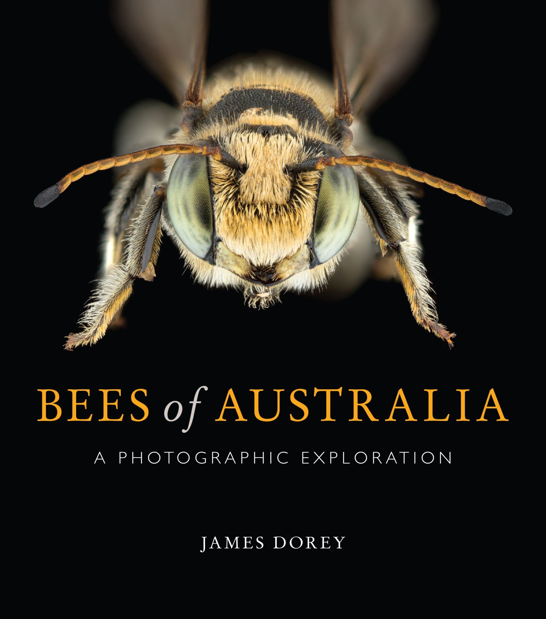 Bees of Australia