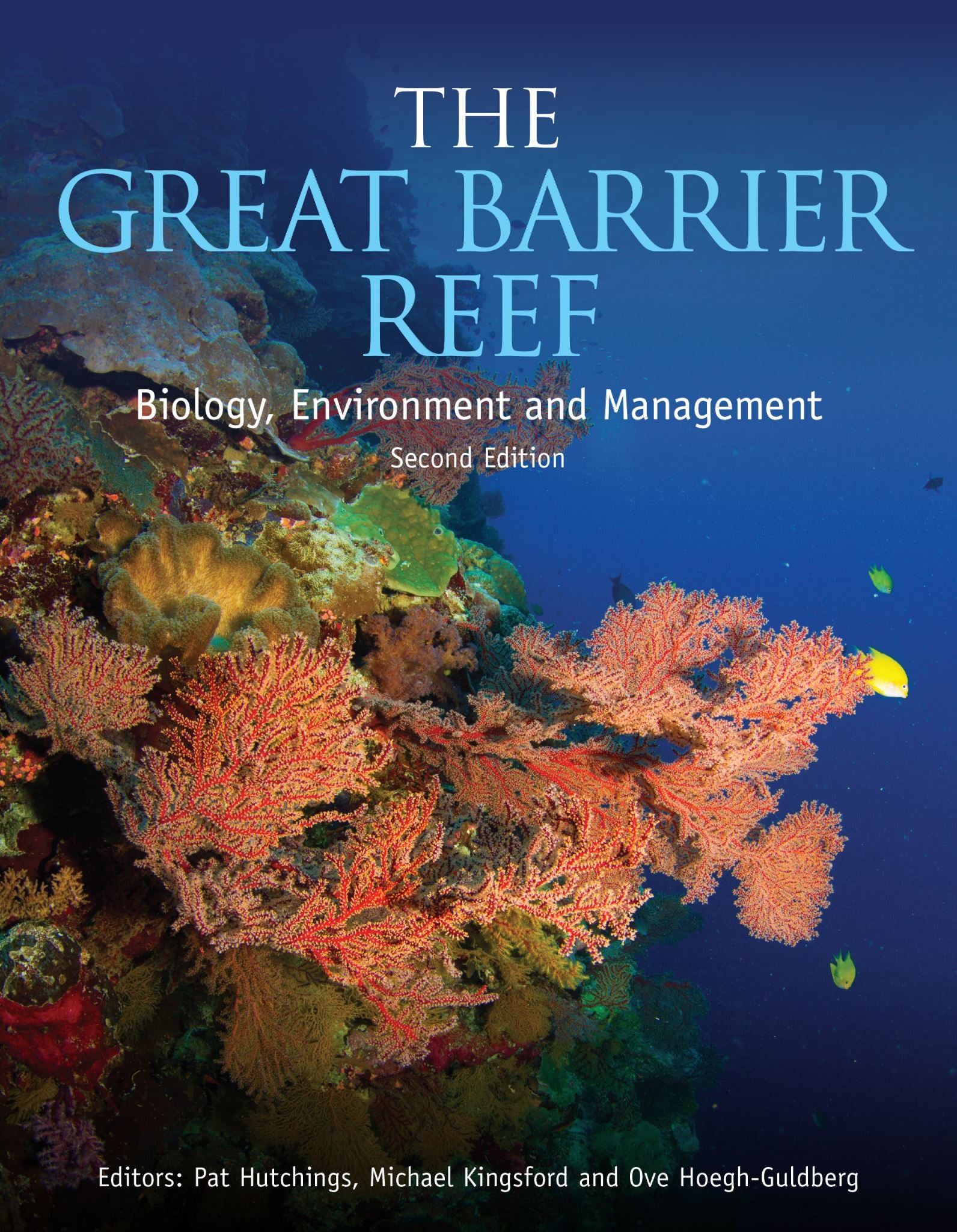 The Great Barrier Reef