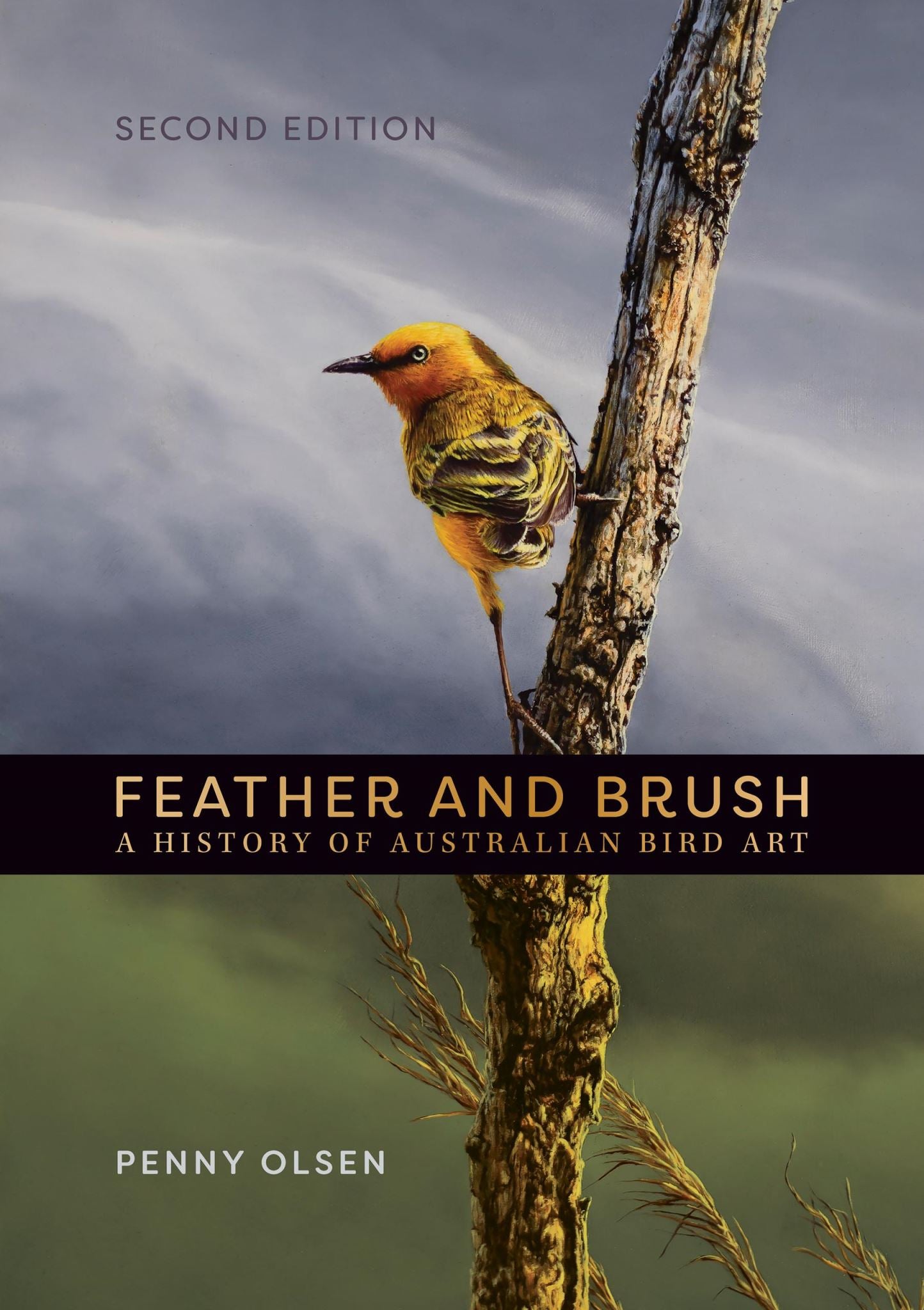 Feather and Brush