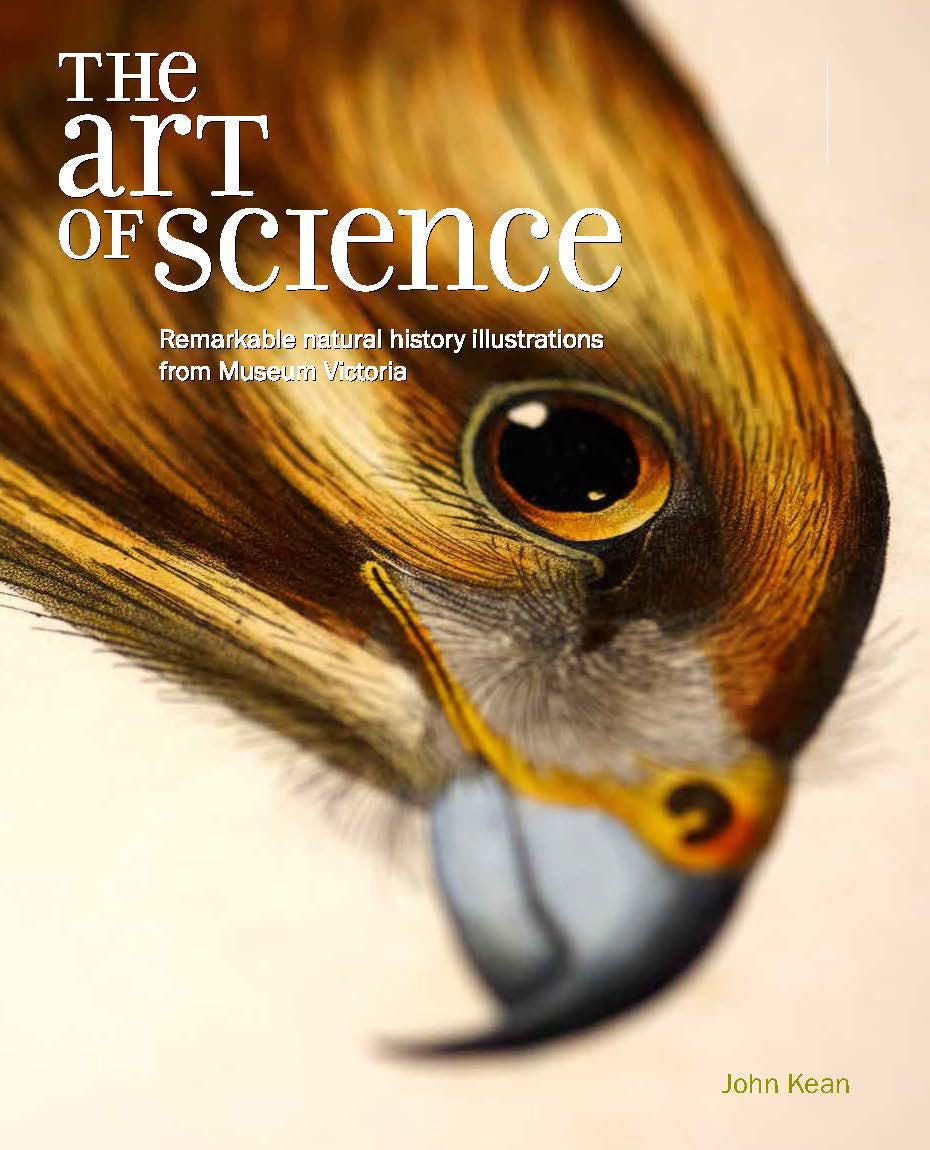 The Art of Science